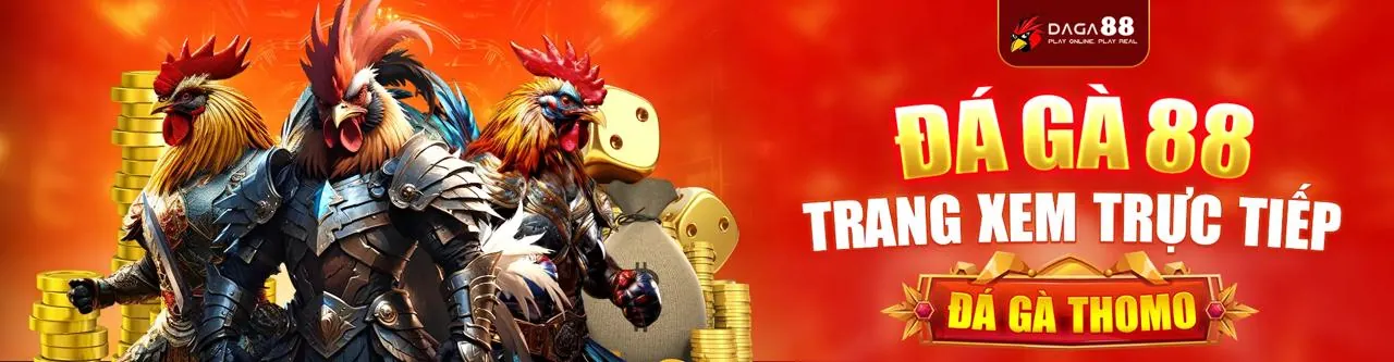 Sân đấu đá gà kịch tính tại mu99 code